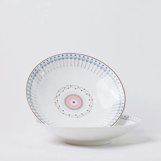 River of Flowers Pasta Plate Set of 2 — Vitrified Tableware Angle 2 | Prince Ceramics Khurja